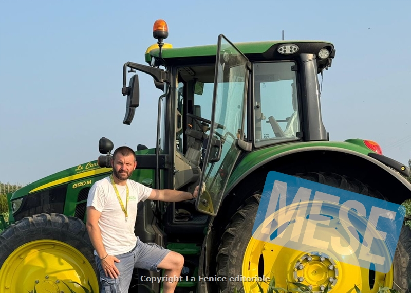 Girasoli in salute in Valdinievole, ma allarme mais: semine in ritardo e stress idrico  Coldiretti Pistoia: “promettente lo stato vegetativo dei girasoli, preoccupazione emergente per il mais”